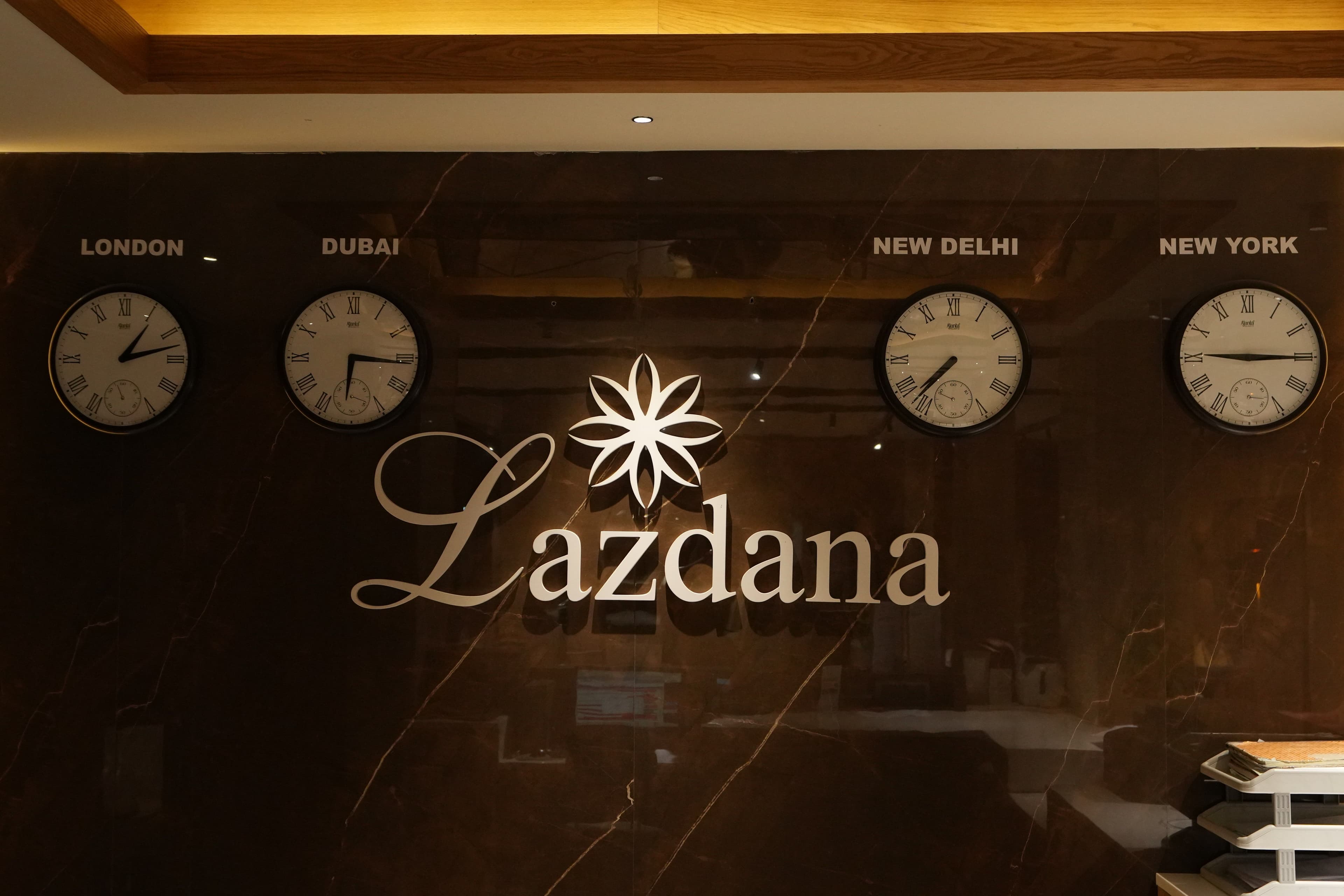 Lazdana Vision